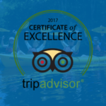 2016 Certificate of Excellence Award