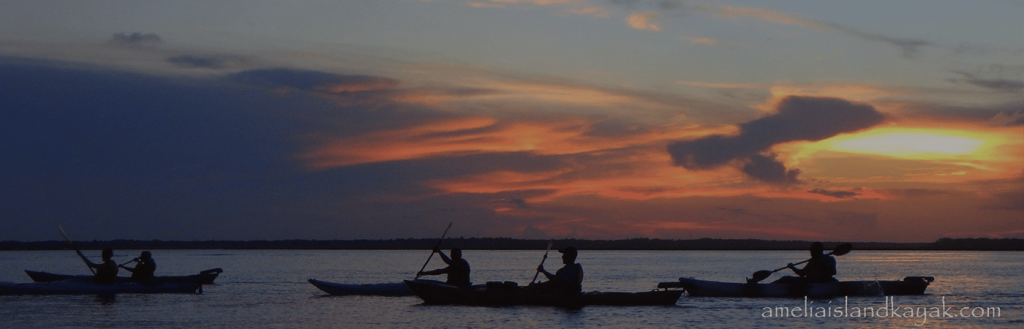 Amelia Island Kayak Amelia River Sunset