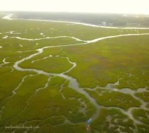 kayak-sup-amelia-island-egans-creek-drone-fernandina-beach-florida