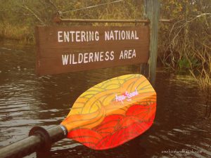 Kayak-okefenokee-swamp-wildlife-refuge-folkston-georgia-aqua-bound-paddle