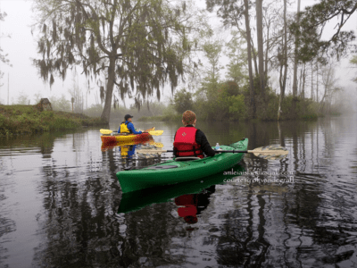 Okefenokee2-400x300