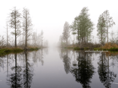 Okefenokee Amelia Island Kayak