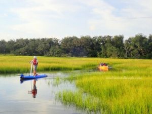 Amelia Island Kayak Egan's Creek