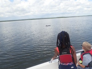 Amelia Island Kayak Private Boat Tours