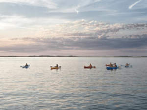 Amelia Island Kayak Amelia River Pastel Colors