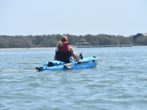 Amelia Island Kayak Amelia River Hobie