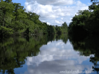 Amelia Island Kayak St Marys River