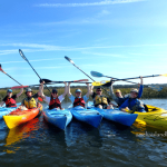 Amelia Island Kayak Egans Creek