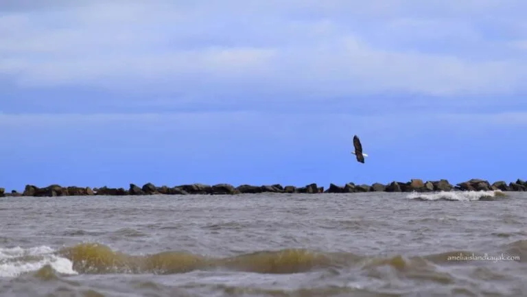 kayak-cumberland-island-eagle-rock-jetties-georgia