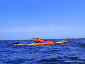 kayak amelia island