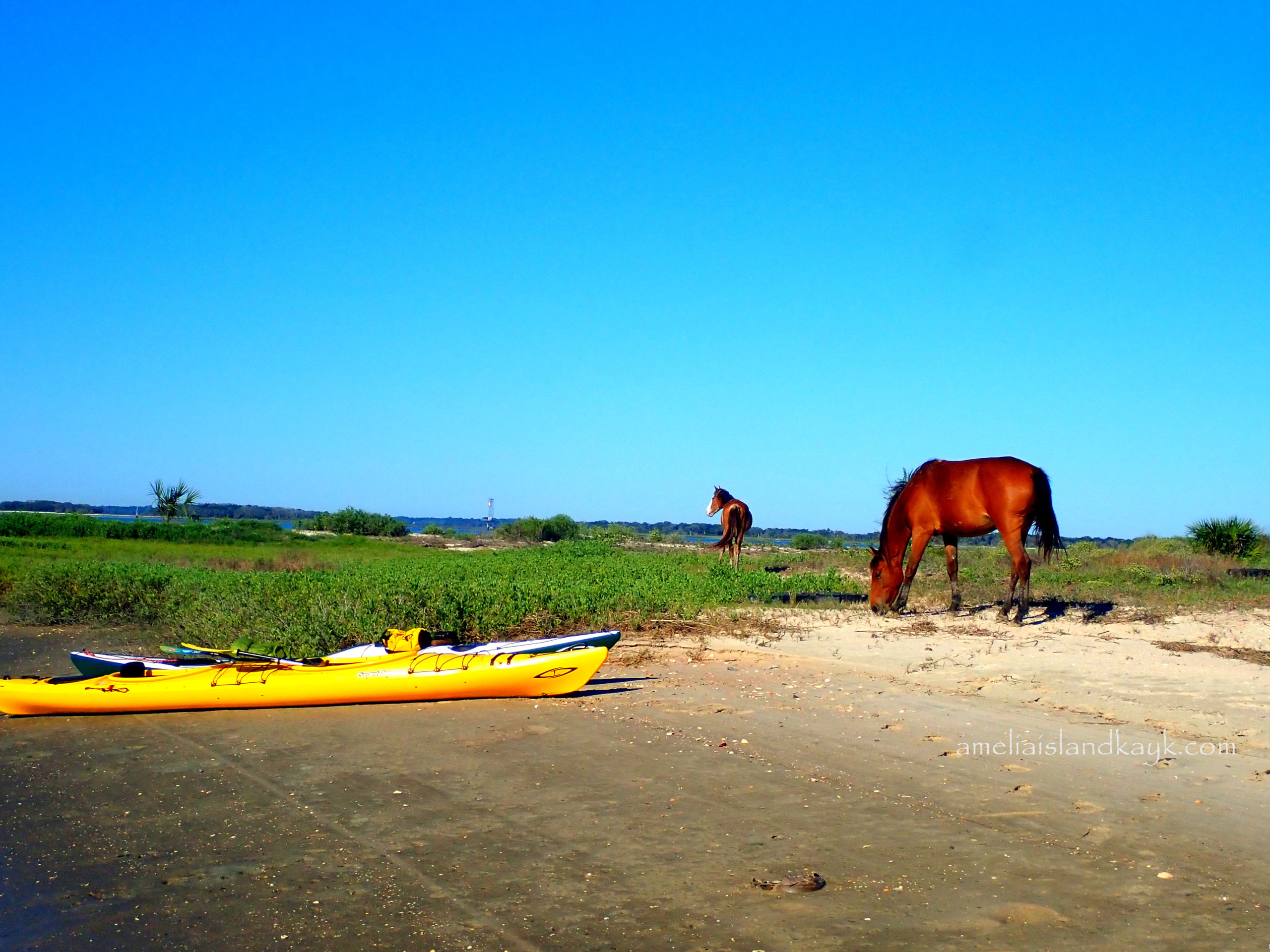 Cumberland Island