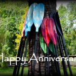 EXTRA! EXTRA! Happy Anniversary Amelia Island Kayak Excursions!