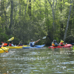 Kayaking News