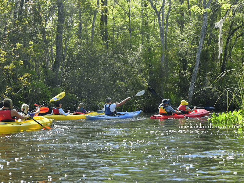 Lofton Creek