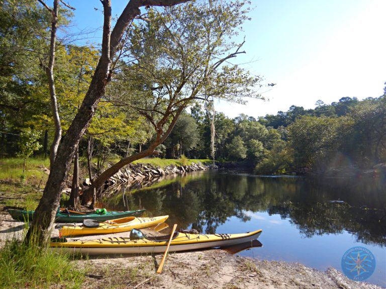 Amelia Island Kayak St Marys