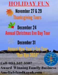 Amelia Island Kayak Excursions Holiday Tours